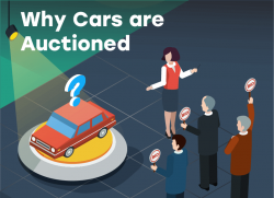 Buying An Auction Car From The Dealership: Is It Trustworthy? | Find ...